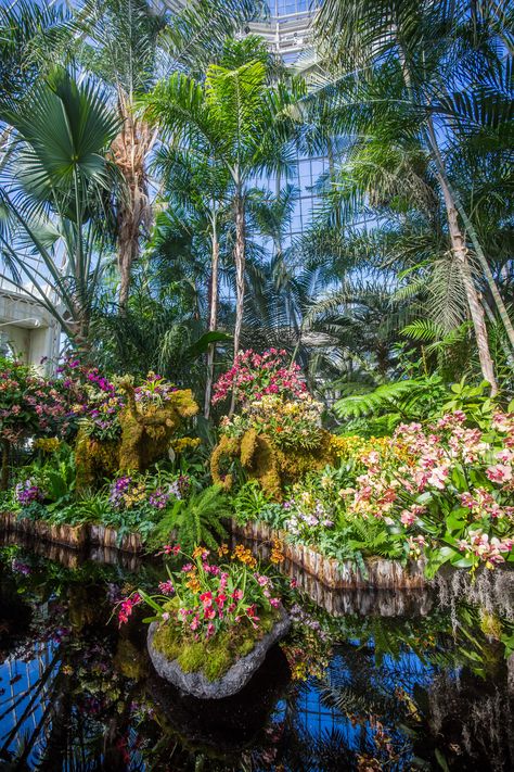 See photos from the NYBG's over-the-top Thailand-inspired Orchid Show Tours, Nice, Thailand, Bloom, Orchid Show, Inspired, Stunning, Virtual Tour, Botanical Gardens