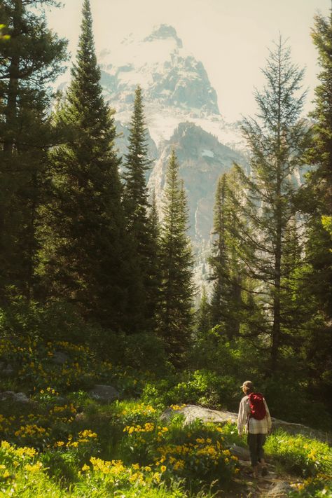 Nature, Summer, Outdoor, Mountains Aesthetic, Mountain Life Aesthetic, Mountain Aesthetic, Aesthetic Camping, Wilderness Aesthetic, Pnw Aesthetic