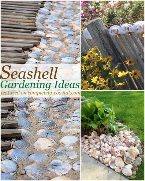 Seashells, Art, Diy, Crafts, Nautical Garden Ideas, Garden Pots, Outdoor Beach Decor, Rock Garden Landscaping, Coastal Landscaping