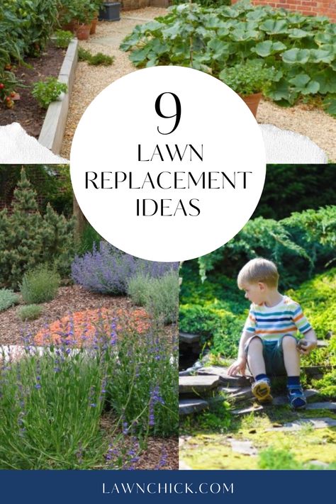 9 Lawn Replacement Ideas Gardening, Garden Landscaping, Lawn Care, Eco Garden, Replace Lawn, Remove Moss From Lawn, No Grass Yard, Lawn Free Yard, No Grass Landscaping