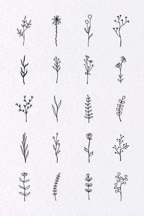 Flower Doodles, Doodle Art, Doodle, Illustrators, Ink, Design, Plant Vector, Plant Drawing, Digital Painting