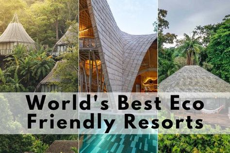 Looking for the best eco-resorts in the world to find the perfect vacation spot for your next slow-paced getaway? We made a list of the top half board and all-inclusive eco resorts U.S., Europe, Asia, and Latin America have to offer. From luxury retreats in the Caribbean to affordable resorts in Bali, there is something for every taste! Belize Resorts, Hotels And Resorts, Sustainable Building Materials, Half Board, Eco Hotel, Eco Travel, Sustainable Tourism, Luxury Retreats, Quintana Roo