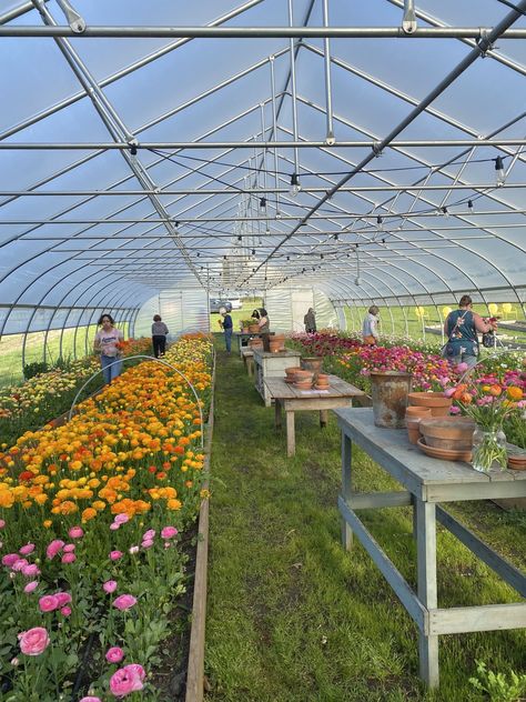 Greenhouses, Layout, Gardening, Farm Gardens, Cut Flower Farm, Farm Landscaping, Flower Farm, Homesteading, Cutting Garden