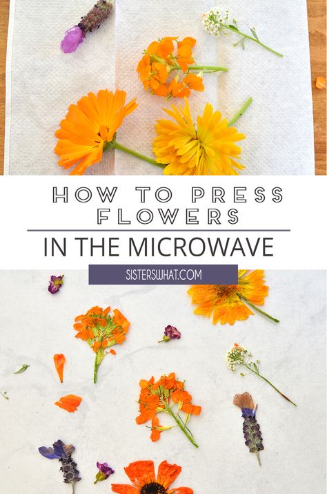 Decoration, How To Preserve Flowers, Dry Flowers, Microwave Flower Press, Pressed Flowers, Pressed Flower Crafts, Pressed Flowers Diy, Dried Flowers Diy, Pressed Flower Art