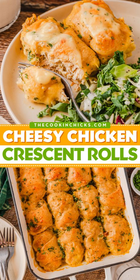 These Cheesy Chicken Crescent Rolls require only a few simple ingredients and are packed with flavor! Each crescent roll is stuffed with shredded chicken, cheese, and seasonings! Topped with a creamy, cheese sauce…this chicken rolls recipe is one you don’t want to pass up! Perfect for a weeknight dinner, quick lunch, snack, or appetizer! Pasta, Cheesy Chicken, Shredded Chicken Recipes, Chicken Crescent Rolls, Shredded Chicken, Rolled Chicken Recipes, Easy Chicken Dinners, Easy Chicken Dinner Recipes, Chicken Dinner Recipes
