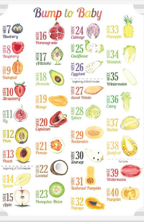 The series of fruits and vegetables representing the baby’s size from week seven to 40. Fruit, Nutrition, Stages Of Pregnancy, Healthy Pregnancy, Pregnancy Food, Pregnant Diet, Baby Fruit, Baby Weeks, Dieta