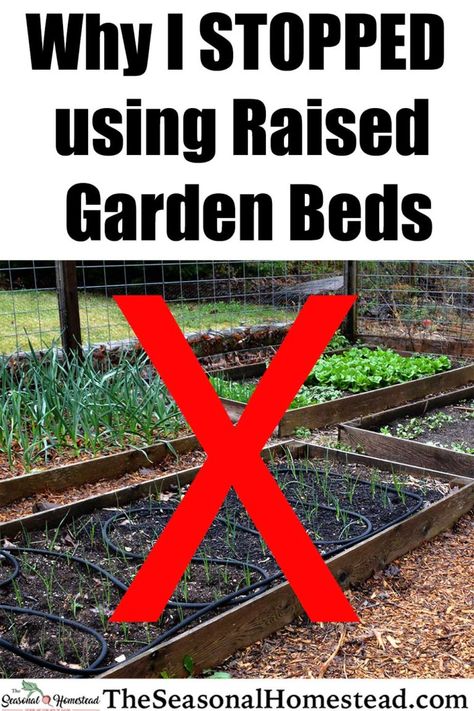 Raised Garden Beds, Layout, Raised Vegetable Gardens, Home Vegetable Garden, Raised Garden Beds Diy Vegetables, Backyard Vegetable Gardens, Vegetable Garden Planning, Garden Boxes Raised, Garden Veggies