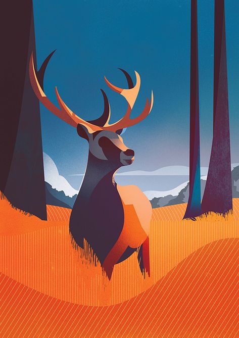 Illustrators, Draw, Deer, Digital Illustration, Animation, Landscape Illustration, Animal Study, Vector Art, Illustrations