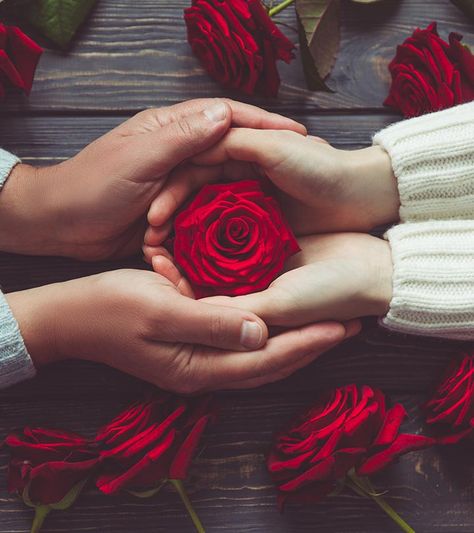 7 Must-Read Stories For People Who Don’t Believe In Love Valentine's Day, Ideas, Fotografie, Bunga, Frases, Cafe, Rosas, Flores, Happy