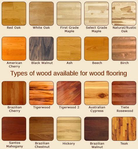 This flooring chart shows the many types of wood available for flooring. Types of wood available for flooring include… Red Oak, White Oak, Maple, Rustic Oak, American Cherry, Black Walnut, Ash, Beech, Birch, Brazilian Cherry, Tigerwood, Cypress, Rosewood, Mahogany, Chestnut, Hickory, Walnut, and Teak Wood #woodworkinginfographic Architecture, Texture, Design, Red Oak, Hardwood Floors, Wood Floors, Real Wood Floors, Types Of Hardwood Floors, Types Of Wood Flooring