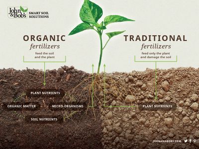 Soil Infographic Compost, Organic Gardening, Organic Fertilizer, Soil Health, Plant Nutrients, Organic Plants, Compost Tea, Hydroponic Farming, Healthy Plants