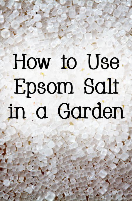 Herb Garden, Gardening, Growing Vegetables, Garden Care, Organic Gardening Tips, Epsom Salt For Plants, Epsom Salt Garden, Epsom Salt, Fertilizer For Plants
