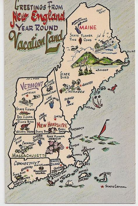 Greetings from New England Vacation Land Vintage Map postcard Maine Vermont New Hampshire Massachusetts Connecticut Rhode Island    http://picturesfunnys.blogspot.com/ Wanderlust, Vintage, Vintage Travel, Ideas, New England States, Southern, New England Fall, Northeast, New England Travel