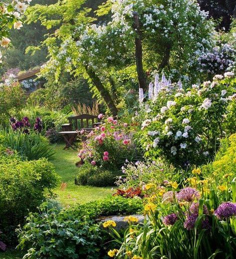English Cottage Garden. GARDENING; GARDEN DESIGN; GARDEN PLANS; GARDEN PLANTERS; GARDEN PLANNING; GARDEN PLANTS; VEGETABLE GARDEN; PERENNIALS; LANDSCAPING; ANNUALS; LAWN EDGING IDEAS; FLOWERS; SHADE PLANTS; FLOWERS; GARDEN IDEAS; CONTAINER GARDENS #gardens #gardening #containergarden #shadeplants #flowers #perennials #annuals #gardendesign #landscaping #plants #gardenshed #sheshed Outdoor, Naturaleza, Tuin, Jardim, Gorgeous Gardens, Beautiful Gardens, Garten, Flower Garden, Garden
