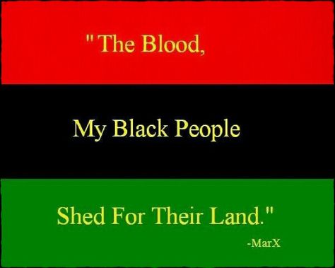 african american flag Black Power, Black History Facts, Black History Education, Black Knowledge, Black History, Black History Month, African Ancestry, Black Is Beautiful, History Facts