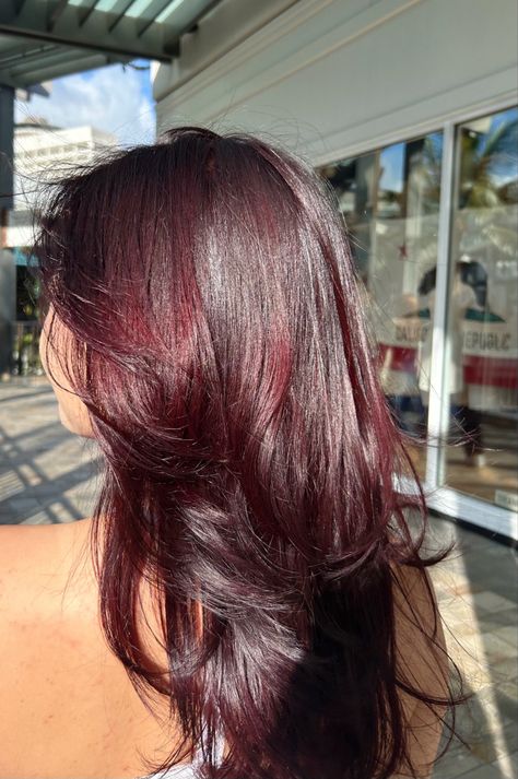 Reddish Purple Hair, Dark Red Hair Dye, Dark Red Hair Color, Red Burgundy Hair Color, Brown Hair With Red, Dyed Red Hair, Brown Hair Dyed Red, Red Hair Color, Dark Red Brown Hair