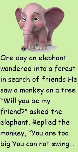 Funny Jokes, Humour, Monkey, Elephant, Short Story About Animals, Baby Elephant, Funny Stories For Kids, Short Stories For Kids, Childrens Stories