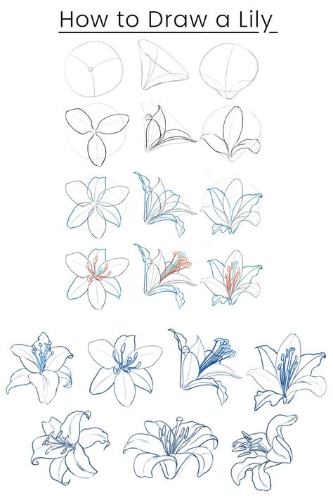 Painting & Drawing, Doodle, How To Draw Flowers, Flower Drawing Tutorials, Orchid Drawing, How To Draw Flowers Step By Step, Flower Tutorial, Easy To Draw Flowers, Lilies Drawing