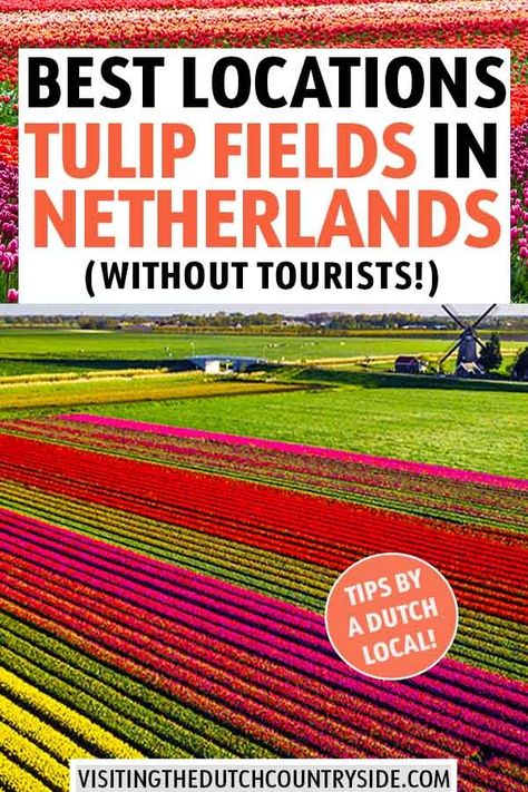 Backpacking Europe, Travel Destinations, Destinations, Tulip Fields Netherlands, Netherlands Travel, Europe Travel Tips, European Travel Tips, Best Location, Europe Travel