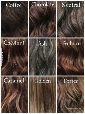 Hair Color Ideas For Brunettes That You Want To See - Inspired Beauty Ash Brown Hair, Balayage, Dyed Hair, Auburn Hair, Shades Of Brunette, Brown Hair Shades, Hair Color Shades, Chocolate Brown Hair Color, Brown Hair With Highlights