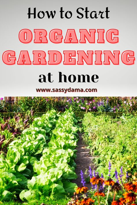 How do you start organic gardening at home? Here are tips for beginners who want to grow organic vegetables and landscape plants. #organic #gardening #organicgarden Design, Organic Gardening, Organic Gardening Tips, Layout, Ideas, Gardening, Inspiration, Organic Gardening Soil, Gardening Tips