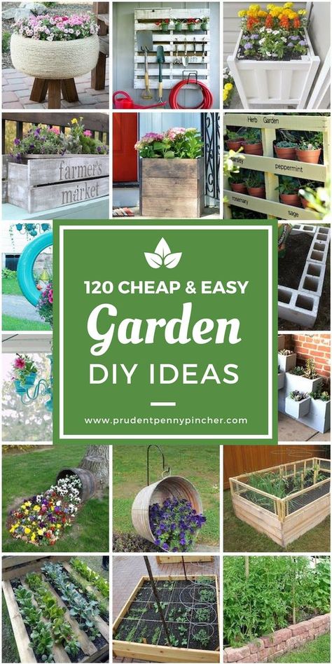 Summer is almost here so time to spruce up your garden with these cheap and easy DIY garden ideas. From DIY planters and container gardening ideas to raised garden beds and garden tool storage ideas, there’s a garden project here for everyone! There are garden ideas for small spaces like patios and large yards so … Container Gardening, Gardening, Planters, Garden Tool Storage, Garden Projects, Raised Garden, Garden Ideas Diy Cheap, Garden Tools, Small Space Gardening