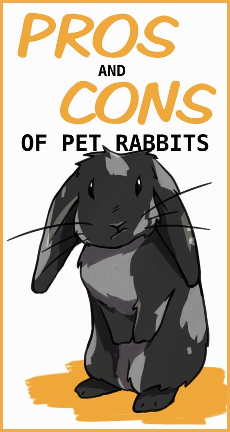 Pet Care, Guinea Pigs, Amigurumi Patterns, Pet Health, Raising Rabbits, Rabbit Care, Animal Care, Bunny Care, Rabbit Facts