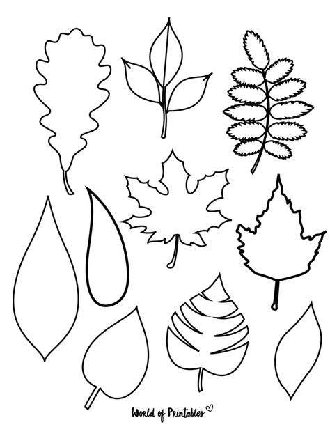 Pattern, Shapes, Leaf Coloring, Prints, Leaf Outline, Leaf Illustration, Leaf Coloring Page, Quick, Autumn Crafts