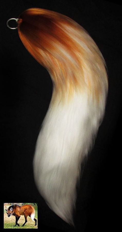 Costumes, Fox, Cosplay, Wolf Ears And Tail, Wolf Tail, Wolf Ears, Fursuit, Maned Wolf, Animal Tails