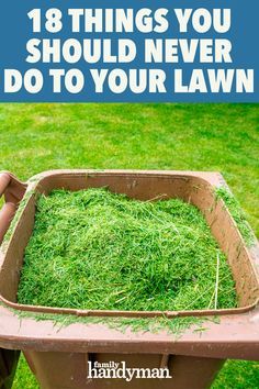 Ideas, Decks, Lawn Care, Lawn Care Tips, Yard Care, Lawn Care Schedule, Fall Lawn Maintenance, Lawn Maintenance, Growing Lawn