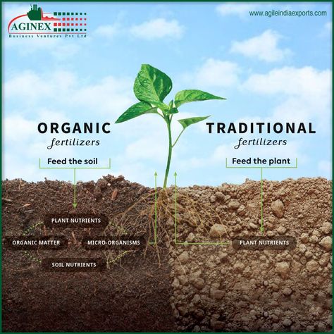 The difference between Organic and Traditional Fertilizers - #GrowOrganic #HealthySoil #HealthyPlants #HealthyEcosystems Organic Gardening, Organic Fertilizer, Organic Compost, Soil Health, Fertilizer For Plants, Soil Improvement, Fertilizer, Types Of Soil, Sustainable Farming