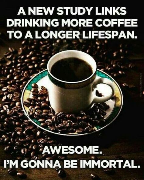 87 Funny Coffee Memes Are What You Need for the Daily Morning Grind Humour, Coffee Art, Coffee Quotes, Need Coffee, Coffee Is Life, Coffee Obsession, Coffee Talk, Coffee Humor, Coffee Break