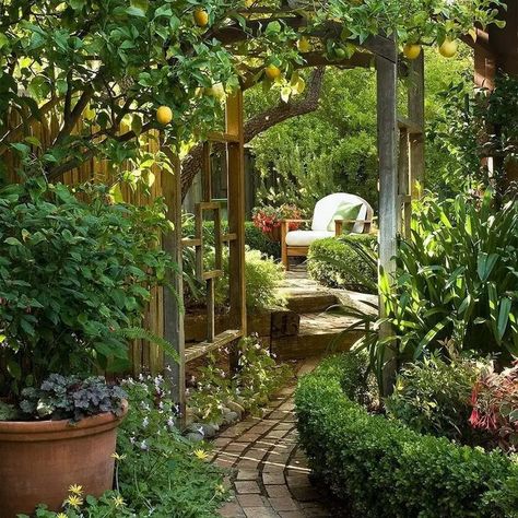 Exterior, Back Garden Landscaping, Garden Paths, Shaded Garden, Pergola, Backyard Landscaping Designs, Backyard Landscaping, Garden Landscaping, Patios