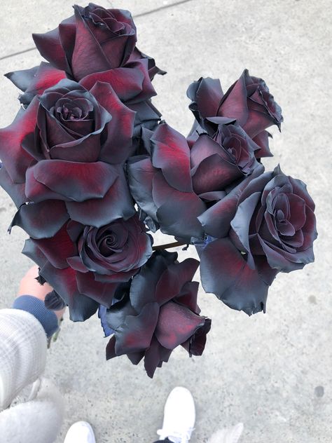 Black Roses are one of the most stunning roses Flowers, Art, Bouquets, Floral, Flora, Black Rose Picture, Rose, Every Rose, Pretty Flowers