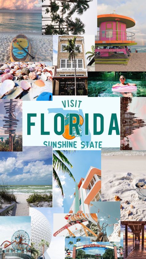 Florida, Tropical Vibes, Florida Sunshine, Florida Wallpaper, Sunshine State, Beach, Vibrant Colors, Sunshine, Aesthetic Wallpapers
