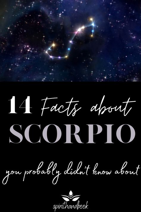 The Scorpio is the eighth sign of the zodiac.There are many bad cliches about Scorpios and I, as a (double) Scorpio myself, have to admit some of them are true. Scorpios for sure aren’t the easiest personalities and yet, they actually have many positive characteristics that make them likable and adorable. This post reveals 14 secret facts about the Scorpio zodiac sign you probably didn’t know about.    Astrology - Season - Star - Zodiac facts - Constellation - #astrology #zodiac #signs #scorpio Zodiac Facts, Zodiac Mind Scorpio, Scorpio Characteristics, Zodiac Characteristics, Scorpio Facts, Scorpio Quotes, Zodiac Quotes Scorpio, Zodiac Signs, Zodiac Quotes