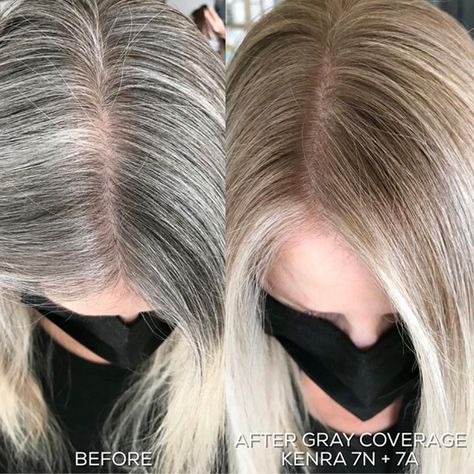 5 Tips For Balayage + Gray Coverage - Behindthechair.com Blonde Balayage Grey Coverage, Gray Hair To Blonde, Grey Coverage Blonde Hair, Blonde Gray Coverage, Best Gray Coverage Hair Color, Blonde Grey Coverage, Balayage With Grey Roots, Gray Hair Coverage Highlights, Balayage For Gray Hair