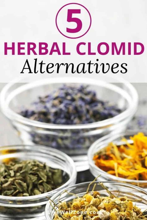 Need help with PCOS infertility and looking for a natural alternative to clomid? This post gives you 5 natural clomid substitutes that are scientifically proven to increase ovulation and boost fertility. Learn how these fertility herbs can help while trying to conceive. #ttc #fertility #pcos Chinchillas, Nutrition, Ideas, Diy, Natural Fertility Boosters, Herbs For Fertility, Fertility Vitamins, Fertility Boosters, Pcos Fertility