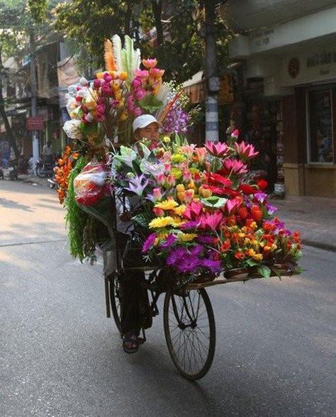 Inspiration, Bali, Indonesia, Bunga, Hoa, Jardim, Flower Market, Garden, Flower Delivery