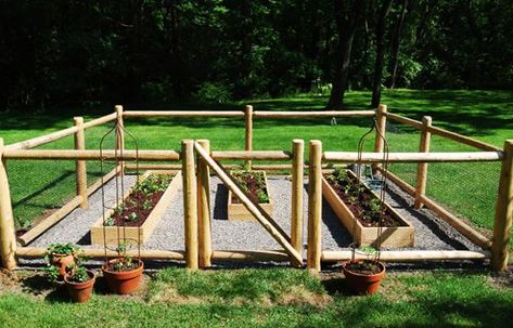 27 DIY Cheap Fence Ideas for Your Garden, Privacy, or Perimeter Shaded Garden, Garden Care, Compost, Cheap Fence, Backyard Garden, Garden Fence, Garden Fencing, Backyard Fences, Raised Garden