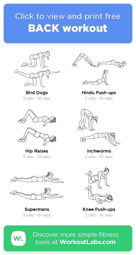 BACK workout – click to view and print this illustrated exercise plan created with #WorkoutLabsFit Fitness Tips, Yoga, Fitness, Yoga Fitness, Gym Workouts, Upper Body Workout, Bodyweight Workout, Workout Labs, Reps And Sets