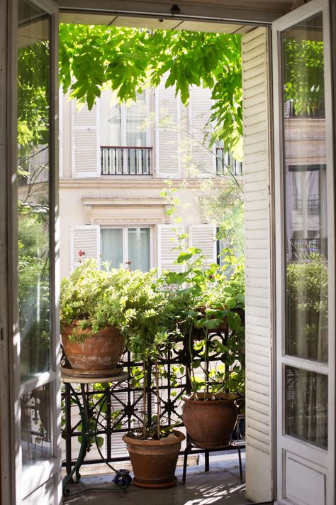 How to Garden Like a Frenchwoman: 10 Ideas to Steal from a Paris Balcony Floral, Daun, Tuin, Veranda, Garten, Patios, Pergola, Backyard, Paris Balcony