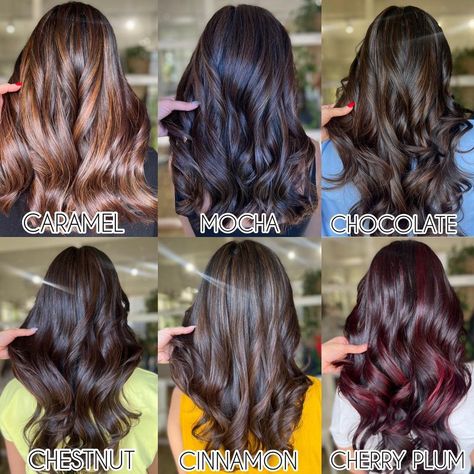 Balayage, Hair Color For Brown Skin, Hair Color For Dark Skin, Hair Colour Brown Highlights, Hair Color For Black Hair, Brown Hair Colors, Hair Color For Morena Skin, Types Of Brown Hair, Brown Hair Streaks