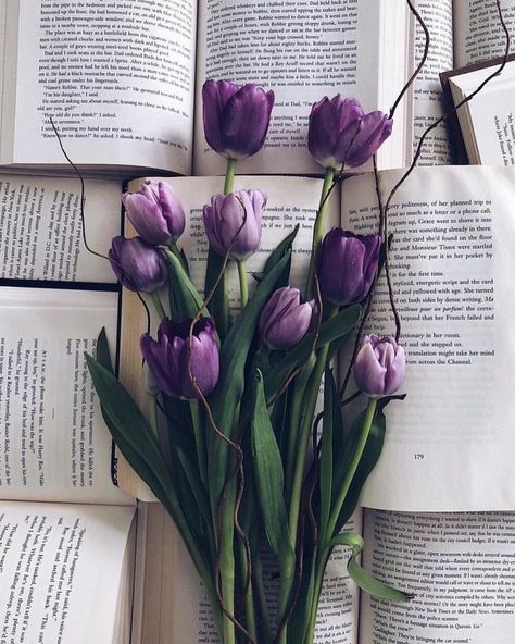 Flowers 🌺 on Twitter: "… " Instagram, Bunga, Bunga Tulip, Hoa, Sake, Mor, Fotografie, Bloemen, Mobiles