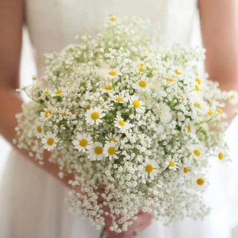 baby's breath paired with daisies is a very cute and sweet idea for a summer bride, it can fit a rustic, a boho or just a relaxed wildflower wedding Wedding, Floral, Dream Wedding, Hoa, Hochzeit, Flores, Mariage, Boda, Beautiful Flowers