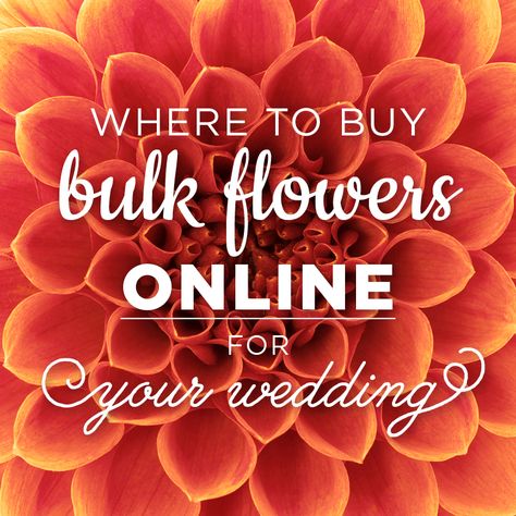 Ideas, Wholesale Flowers Wedding, Bulk Flowers Online, Wholesale Flowers, Buy Flowers Online, Buy Flowers, Online Wedding Flowers, Flower Bouquet Wedding, Flowers Online