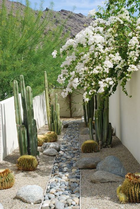 a beautiful desert garden with large rocks lining up the space, with round and post cacti, with pebbles and rocks is a cool space Front Garden Landscaping, Garden Design, Landscape Designs, Front Yard, Yard Design, Desert Landscape Front Yard, Front Yard Landscaping Design, Front Yard Landscaping, Landscape Design