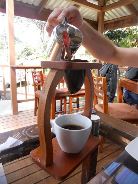 The Best Coffee Tours and Tastings in Costa Rica Cartago, Puntarenas, San Carlos, Monteverde, Coffee Farm, Expensive Coffee, Coffee Brewing, Coffee Tasting, Nyc Coffee Shop
