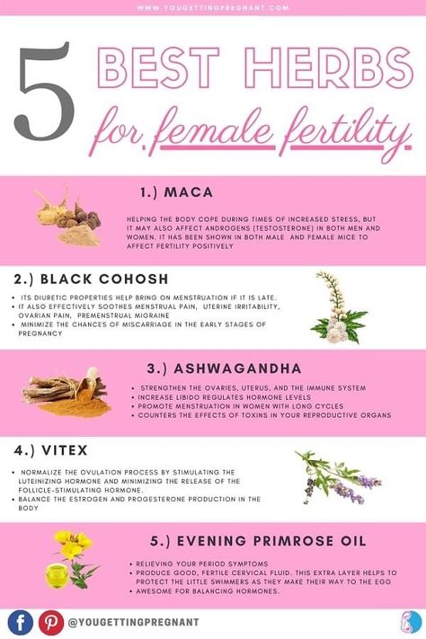 Fitness, Nutrition, Fertility Boost, Fertility Treatment, Fertility Health, Fertility Vitamins, Fertility Foods, Herbs For Fertility, Womb Healing
