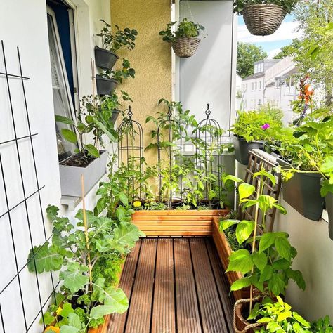 Design, Home Décor, Layout, Patio Garden, Small Balcony Garden, Balcony Plants, Patio Herb Garden, Railing Planters, Apartment Patio Gardens
